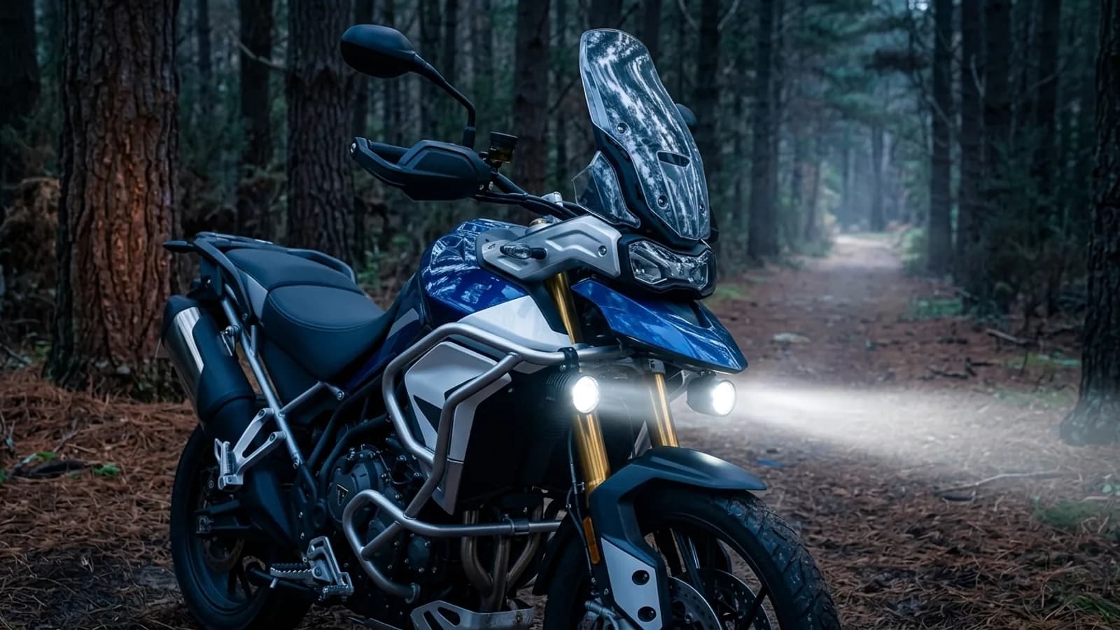 Feux additionnels LED pour Triumph Tiger 900